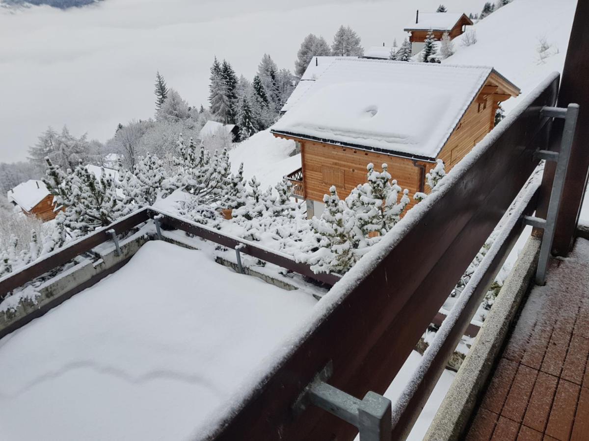 Les Collons1800- Bel Appart 2Pieces-4 Pers-Piscine-Sauna-Parking Int-Wifi Gratuit Vex Exteriér fotografie